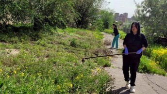 ԻՀԱԿ-ը միացել է համապետական շաբաթօրյակին