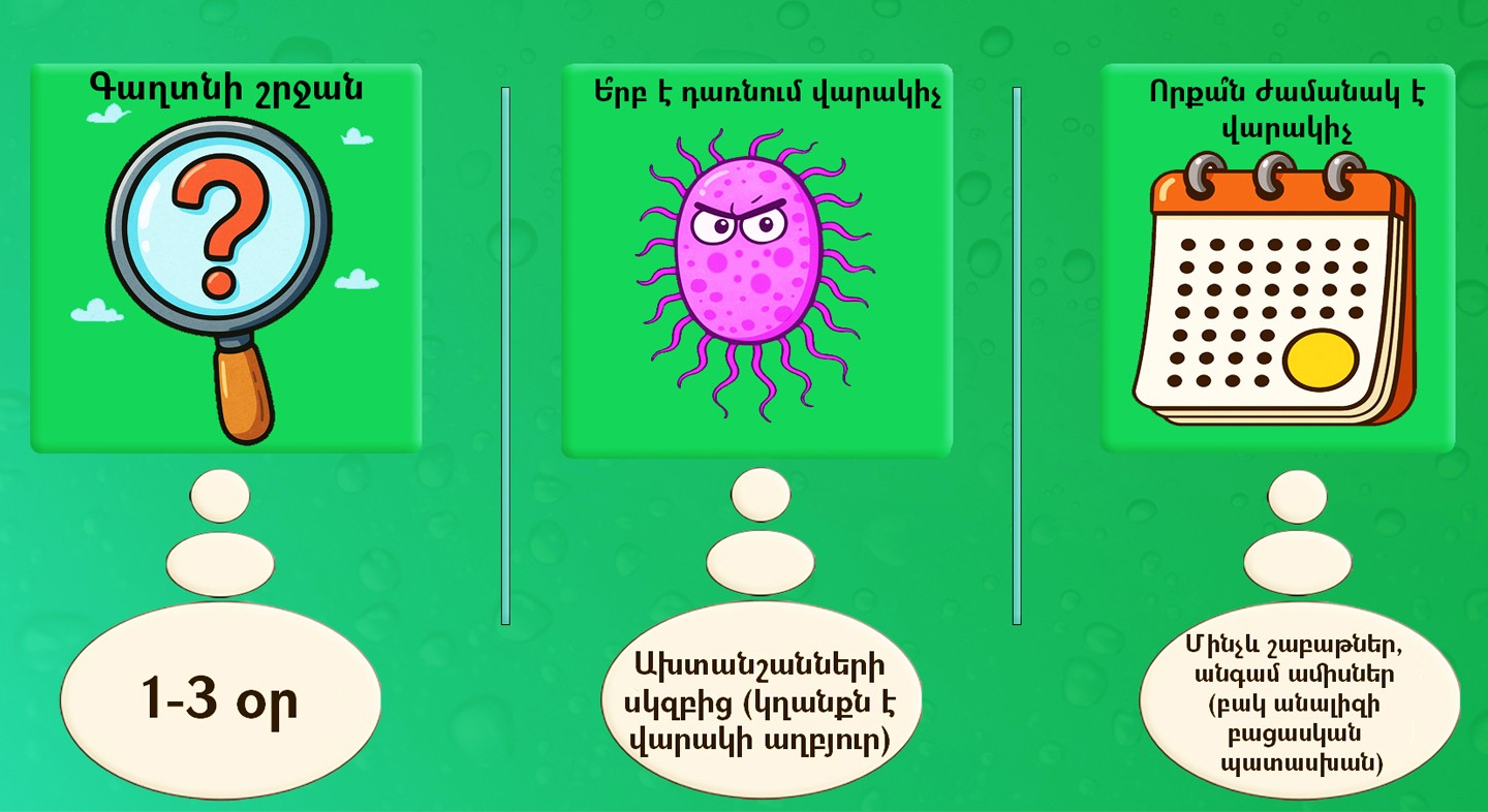 Սալմոնելոզ. ինչպես է տարածվում, և ինչպես կանխարգելել