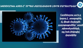 Օգտակար նյութեր