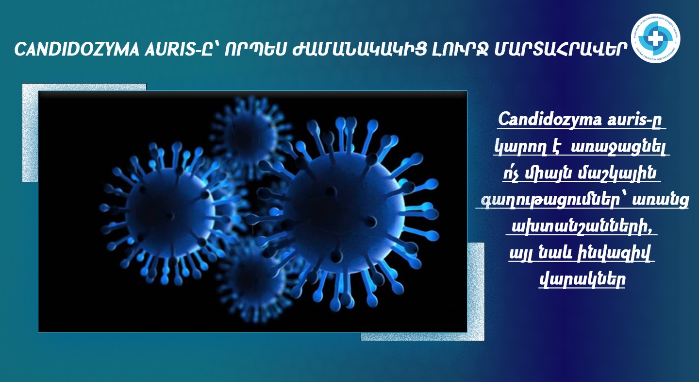 Candidozyma auris-ը՝ որպես ժամանակակից լուրջ մարտահրավեր