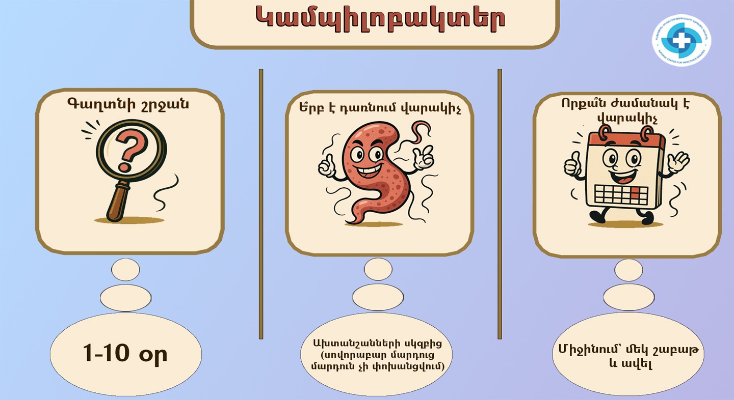Կամպիլոբակտեր. ինչպե՞ս է փոխանցվում հիվանդությունը և ինչպես խուսափել