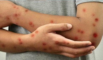 Օգտակար նյութեր