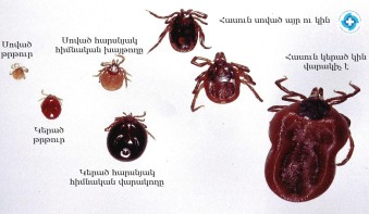 Օգտակար նյութեր