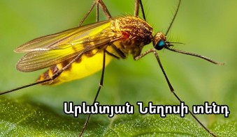 Օգտակար նյութեր