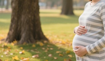 Օգտակար նյութեր