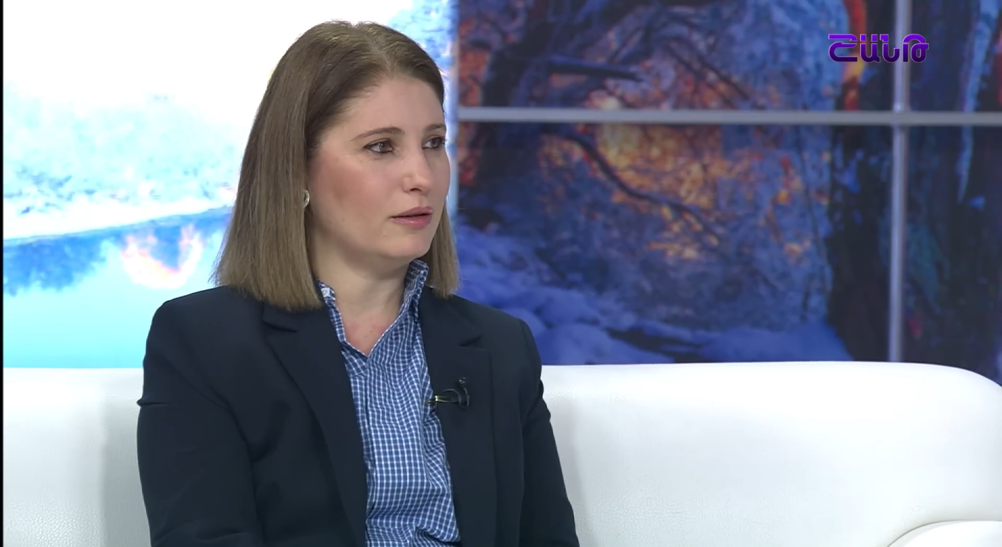 Հերմինե Հովակիմյանը «Շանթ»-ում ներկայացրել է ՄԻԱՎ/ՁԻԱՀ-ի հայաստանյան իրավիճակը